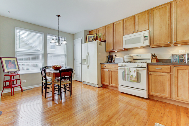 2446 Emily Lane Elgin, IL 60124 - Photo 12 of 23
