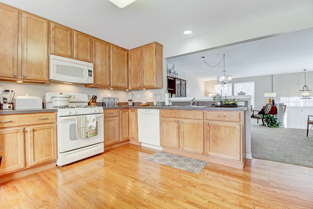 2446 Emily Lane Elgin, IL 60124 - Photo 13 of 23