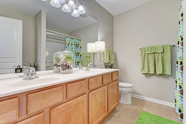 2446 Emily Lane Elgin, IL 60124 - Photo 18 of 23