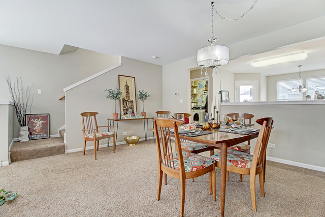 2446 Emily Lane Elgin, IL 60124 - Photo 9 of 23