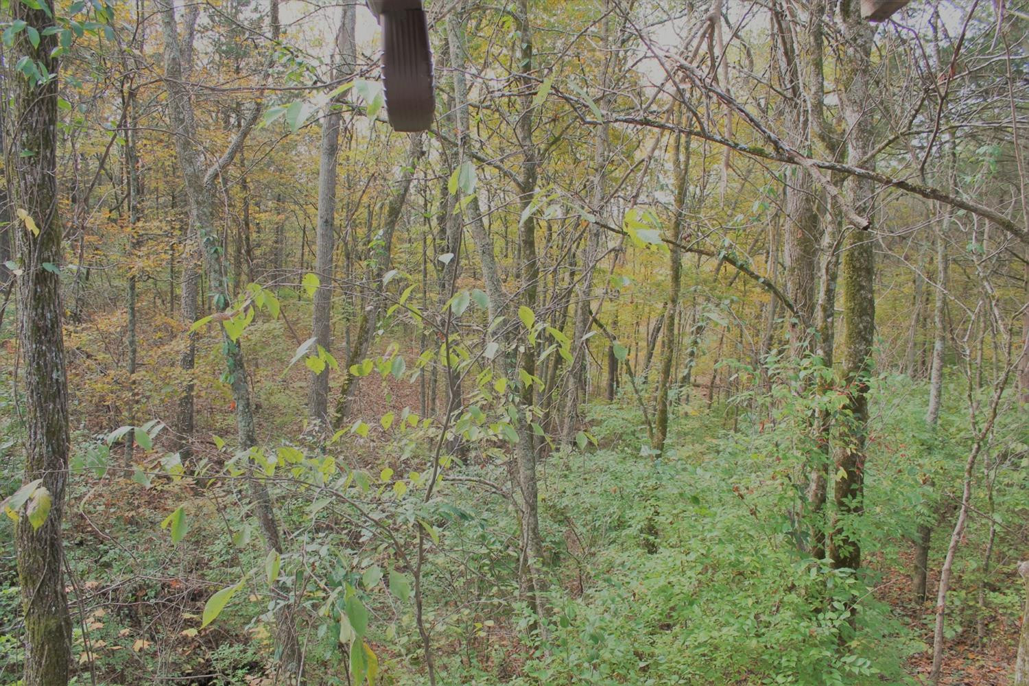 2746 Shadrick Ferry Road Frankfort, KY 40601 - Photo 37 of 47 Photo 37