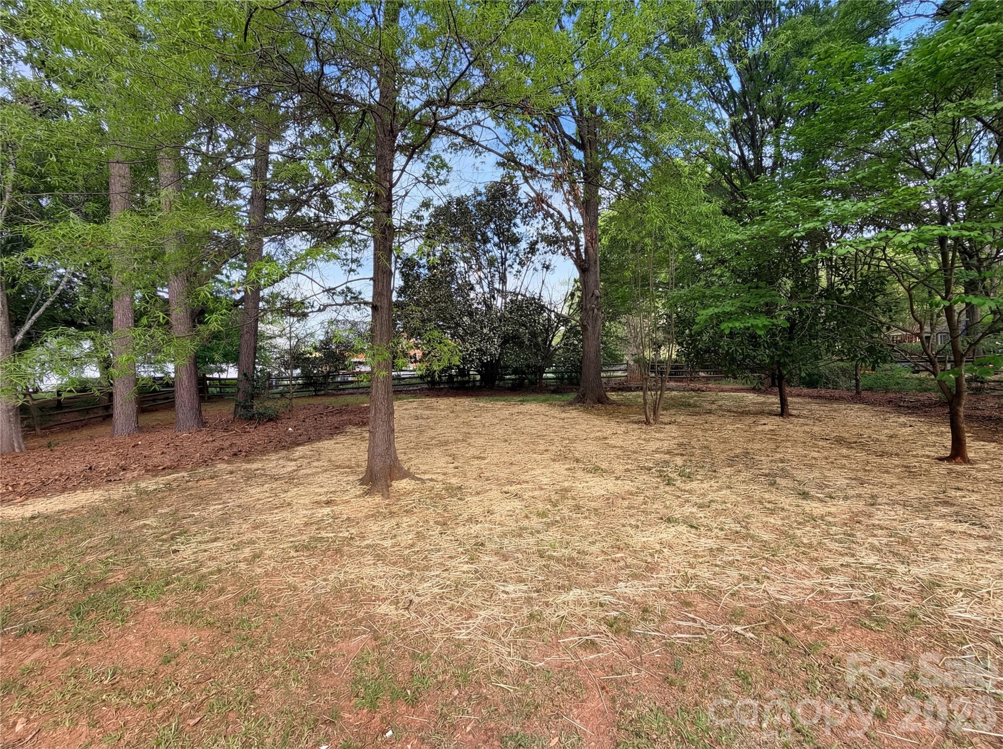 6024 Dovefield Road Charlotte, NC 28277 - Photo 16 of 17 a backyard of a house with lots of trees