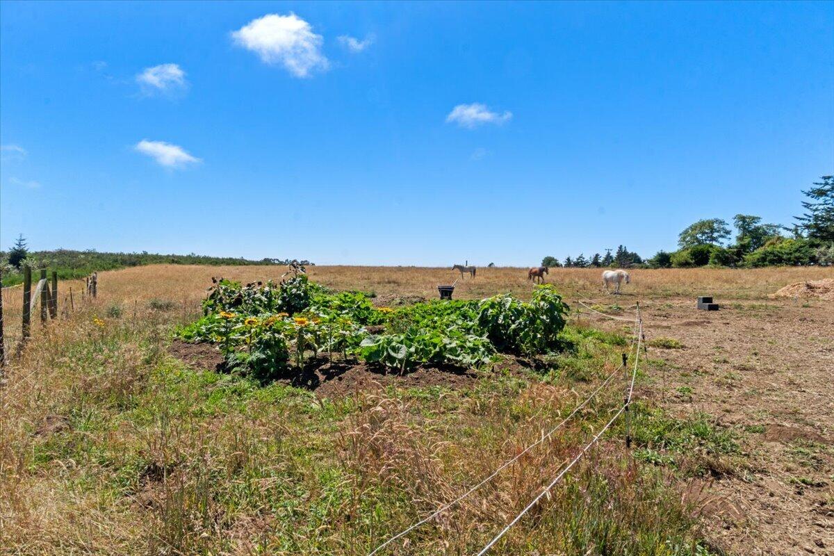3466 Dows Prairie Road McKinleyville, CA 95519 - Photo 64 of 81 Gallery Image 64