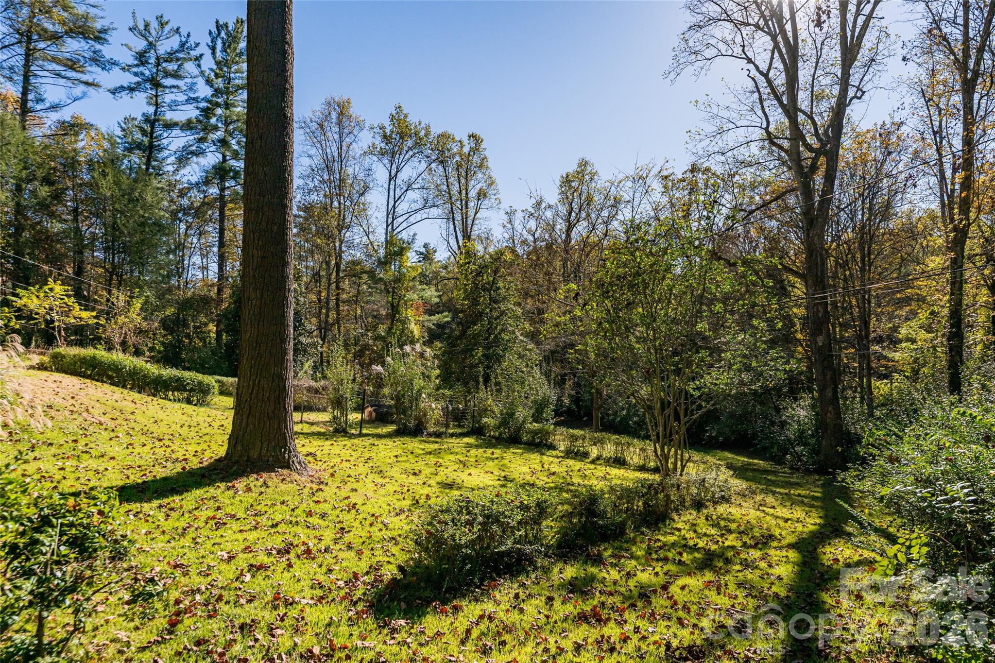 325 Vanderbilt Road Asheville, NC 28803 - Photo 40 of 48