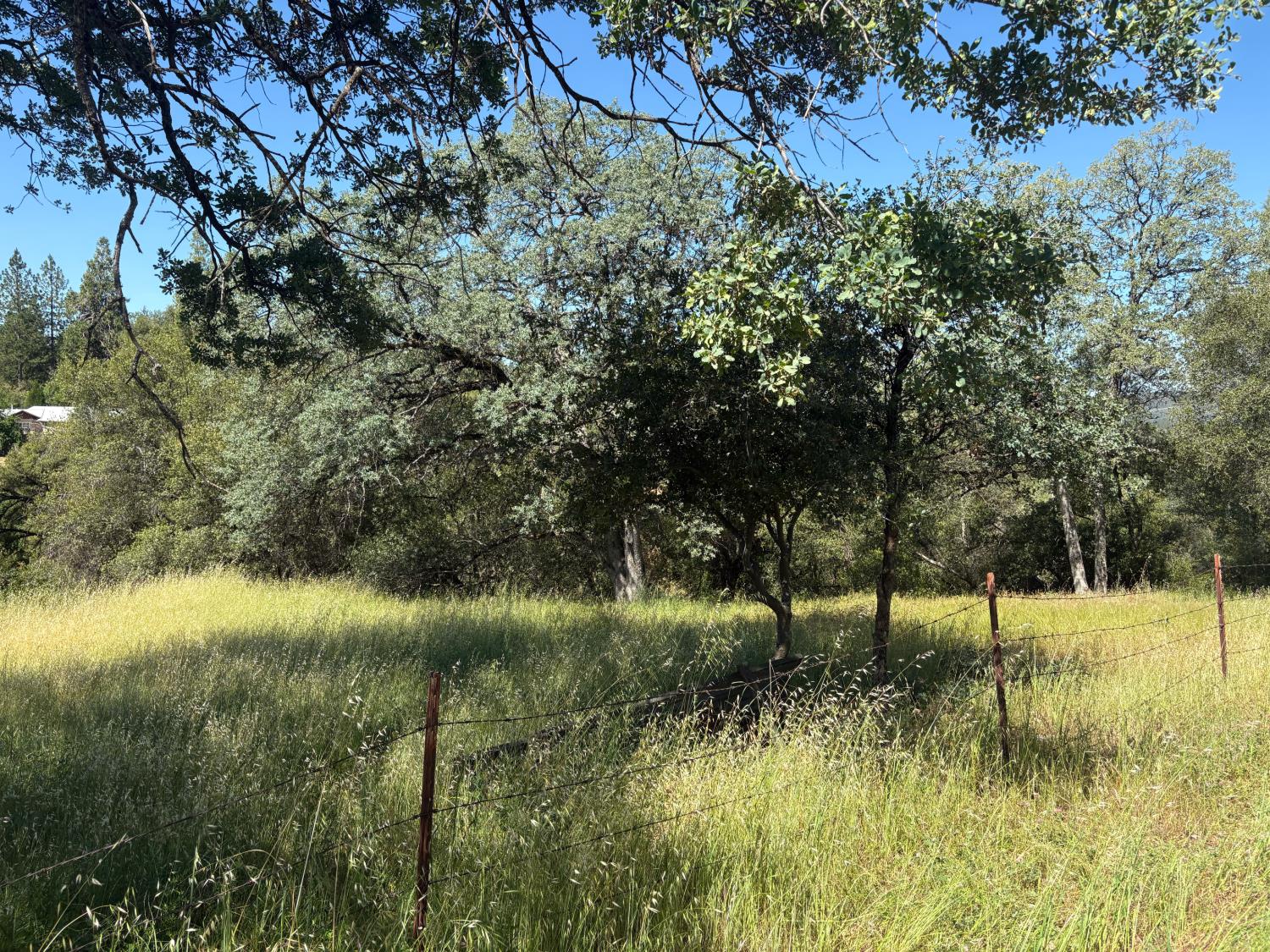 0 Sheep Ranch Road Mountain Ranch, CA 95246 - Photo 6 of 17