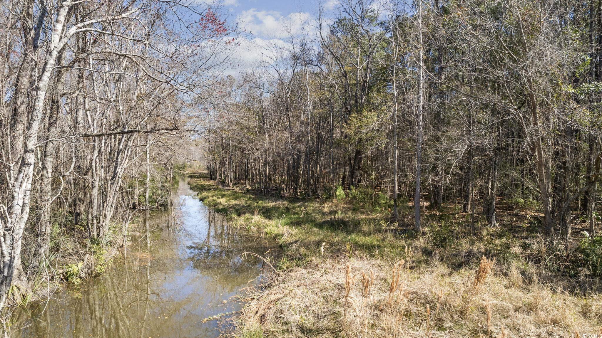 10141 Mcdowell Shortcut Road Murrells Inlet, SC 29576 - Photo 19 of 28 Gallery Image 19