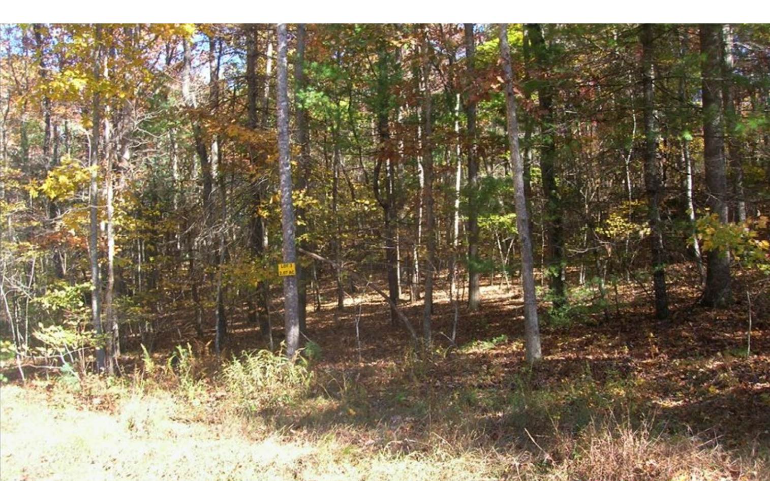 Lot 3 Peter Knob Road Blue Ridge, GA 30513 - Photo 1 of 3 Main View