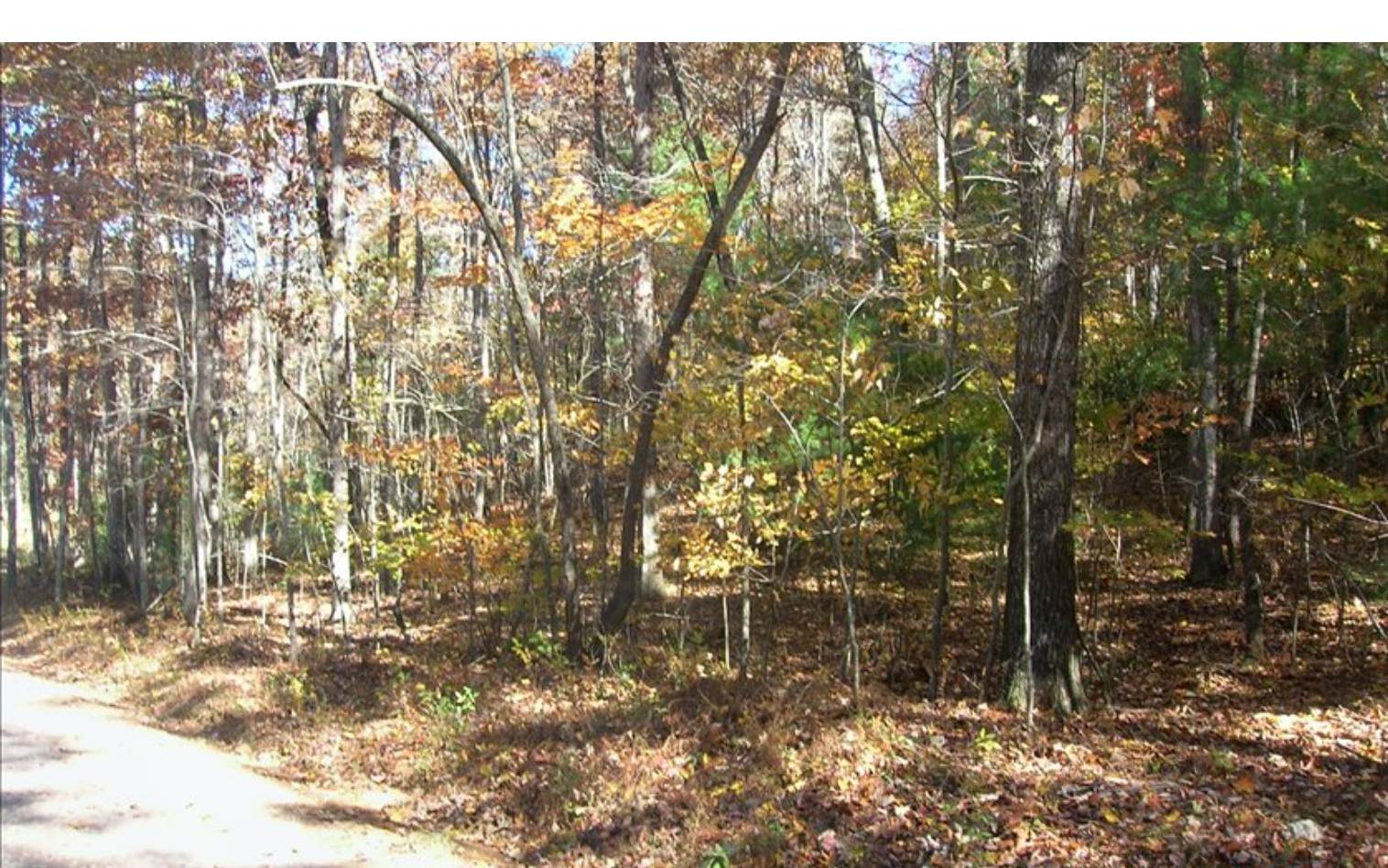 Lot 3 Peter Knob Road Blue Ridge, GA 30513 - Photo 3 of 3 Additional View