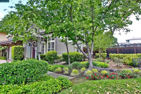 $6,200 | 1079 River Rock Lane, Danville, CA 94526