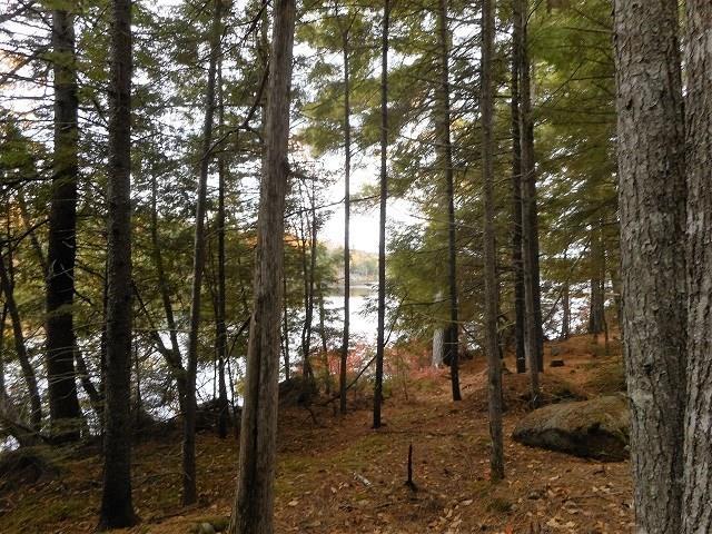 Tbd Lot 7 Tbd Road Lincoln, ME 04457 - Photo 2 of 6 Photo
