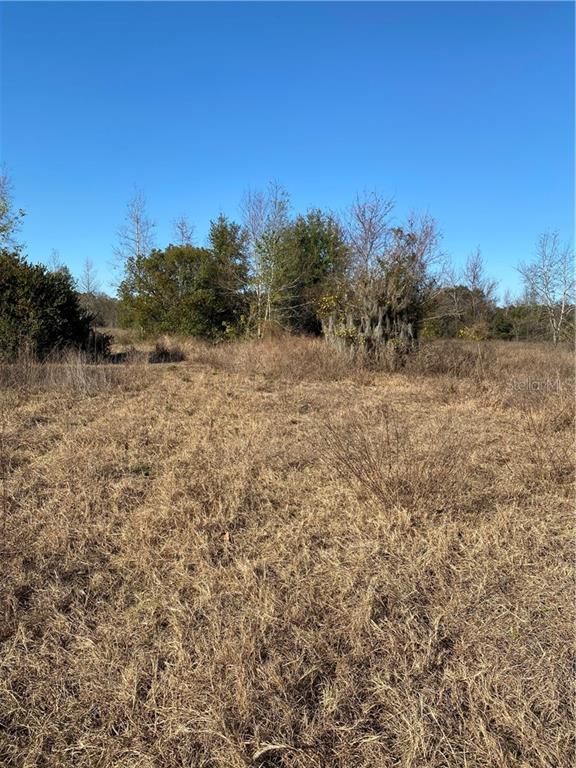 7619 Redwing Road Groveland, FL 34736 - Photo 1 of 1 a view of a field with trees in the background