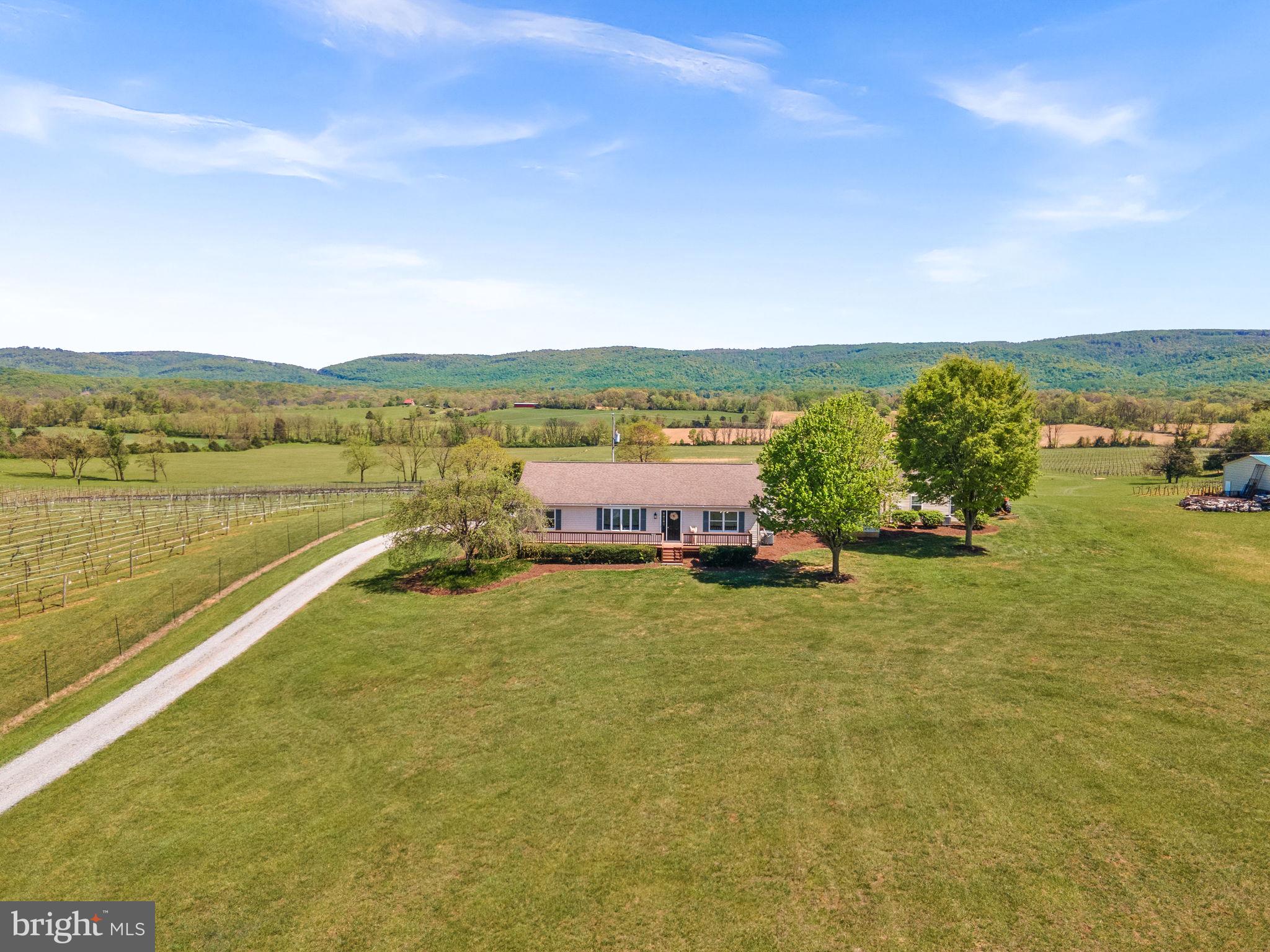 739 Quarry Road Berryville, VA 22611 - Photo 6 of 77 Gallery Image 6