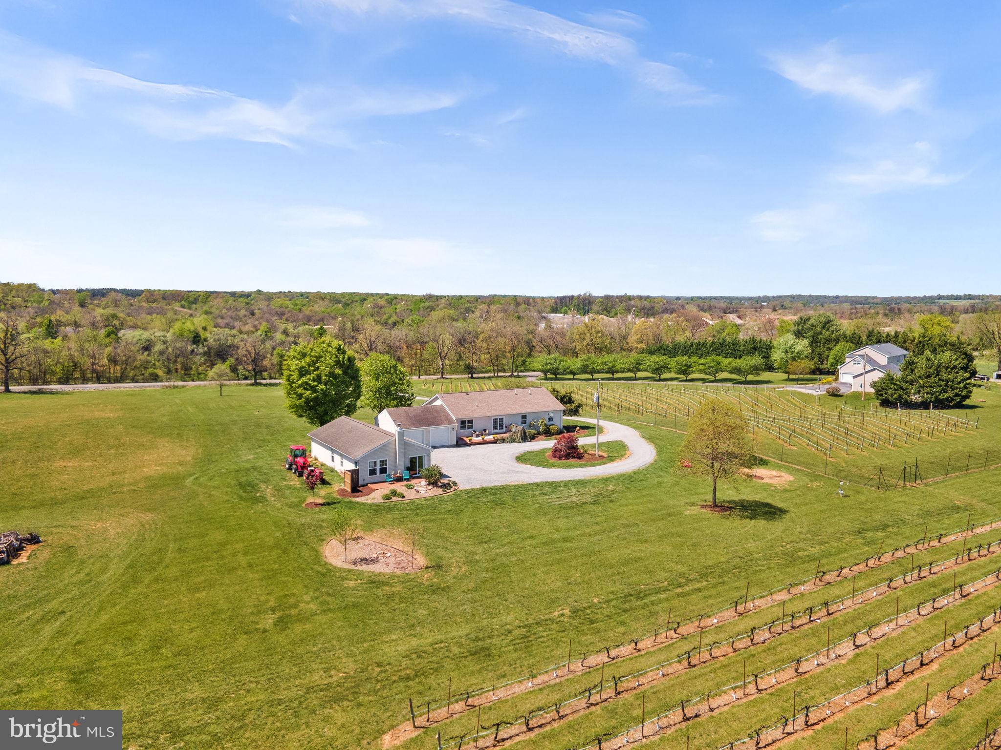 739 Quarry Road Berryville, VA 22611 - Photo 7 of 77 Gallery Image 7