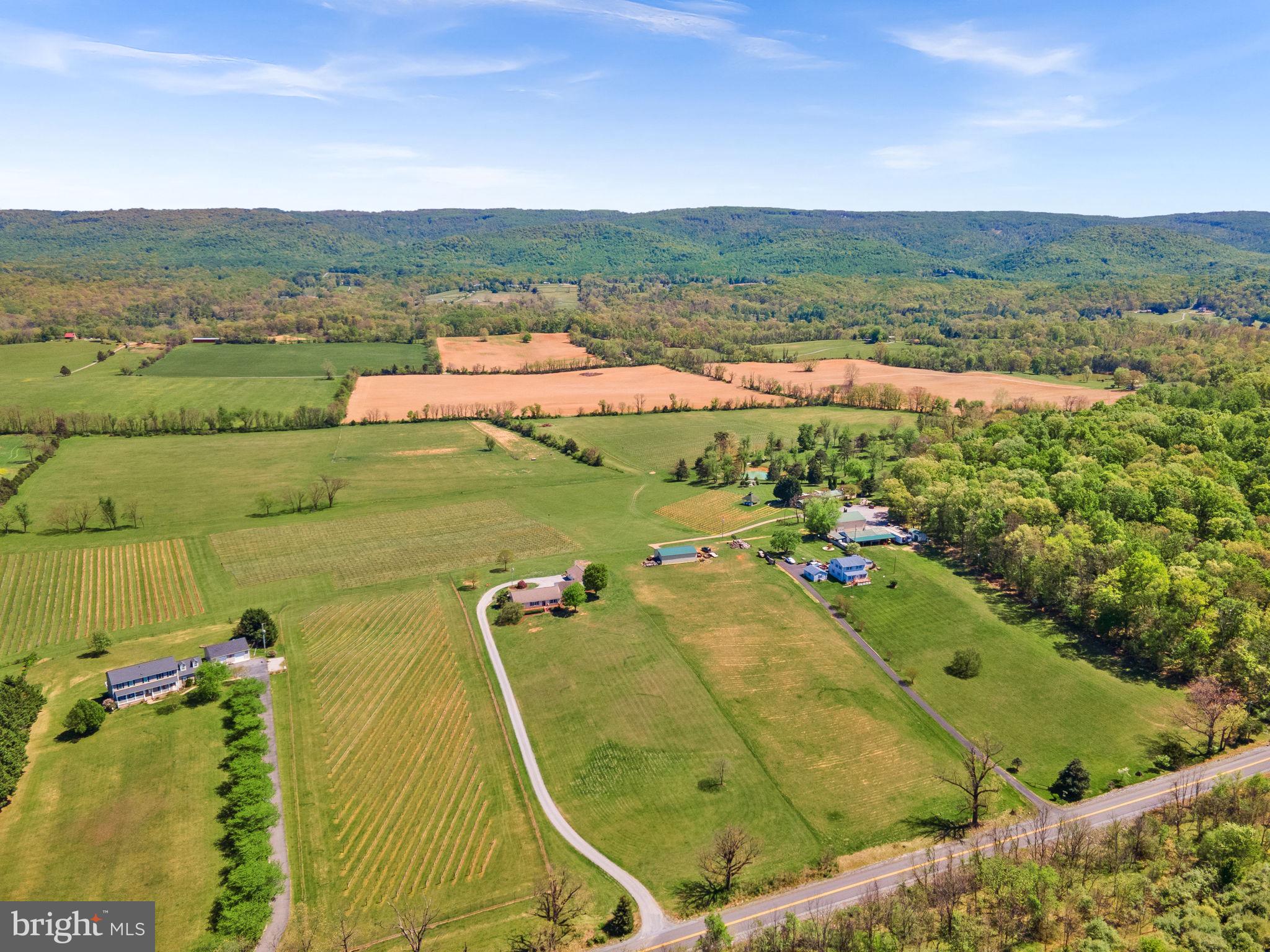 739 Quarry Road Berryville, VA 22611 - Photo 8 of 77 Gallery Image 8