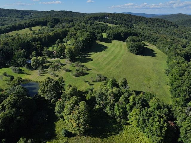 232 Town Farm Hill Road Hartland, VT 05048 - Photo 58 of 60 Gallery Image 58