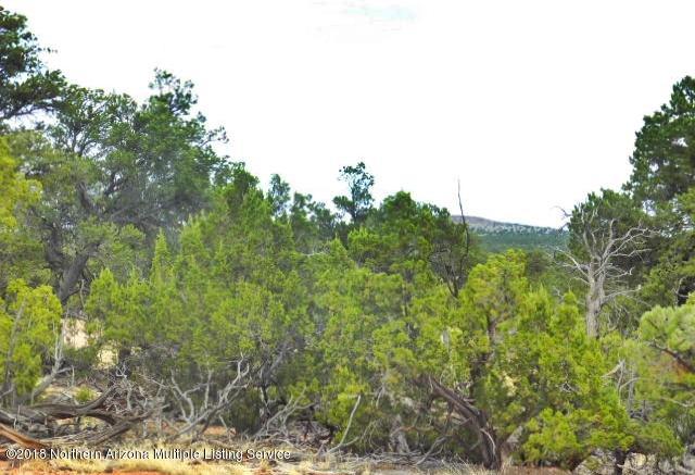 7061 Red Butte Road Valle, AZ 86046 - Photo 7 of 16 DSCN0899