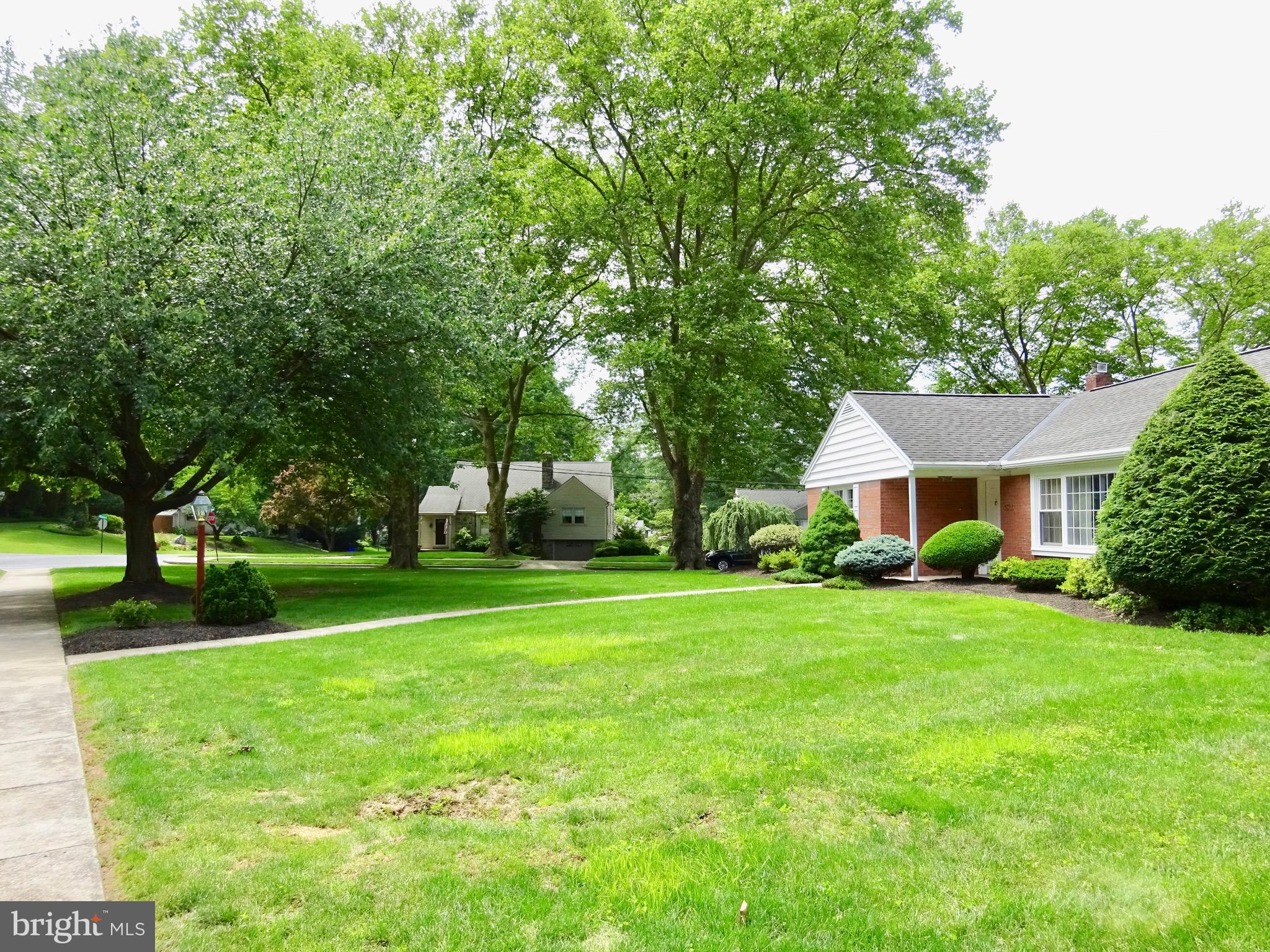 1355 Museum Road Reading, PA 19611 - Photo 28 of 43 Front Yard