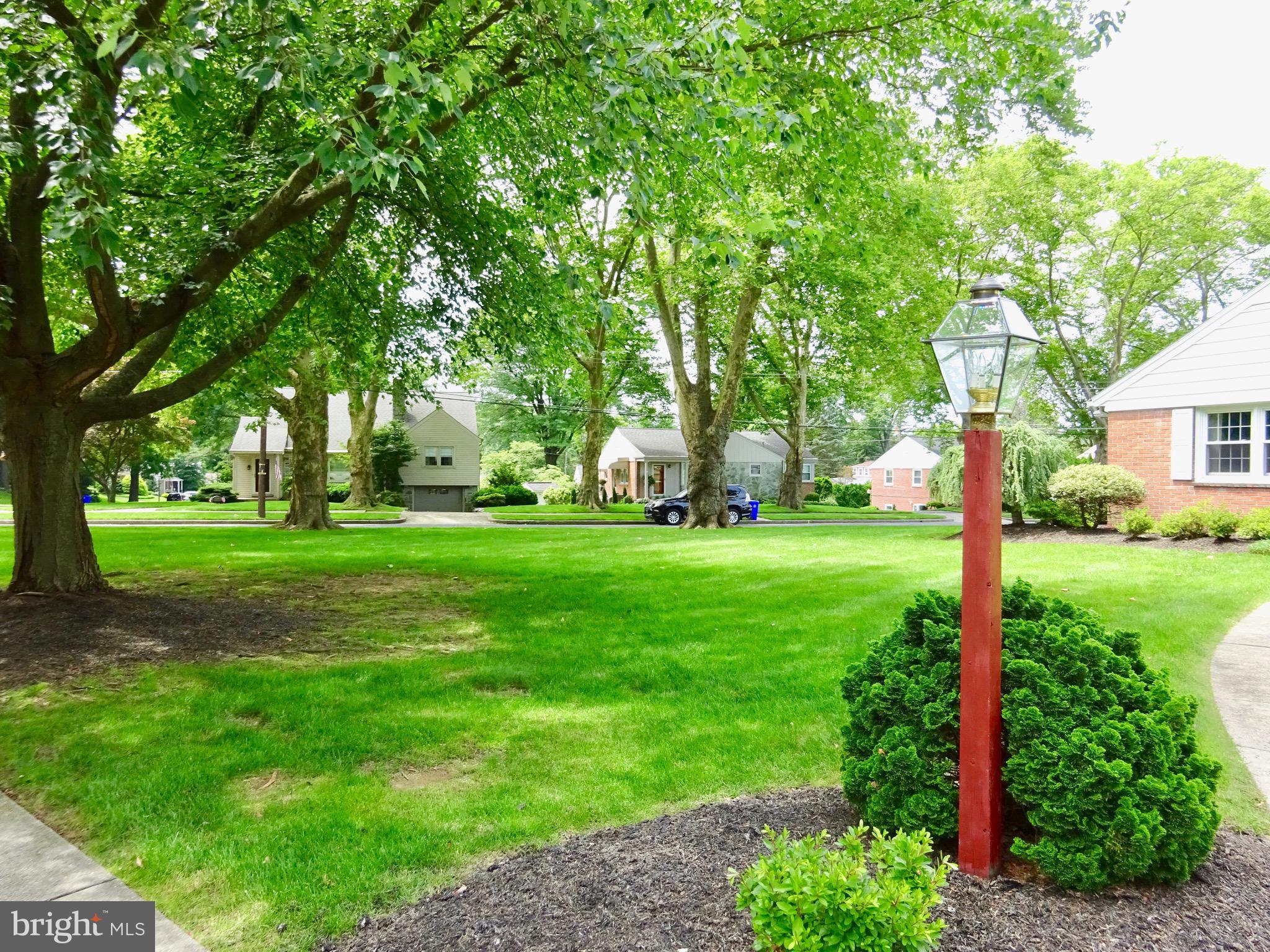 1355 Museum Road Reading, PA 19611 - Photo 29 of 43 Front Yard