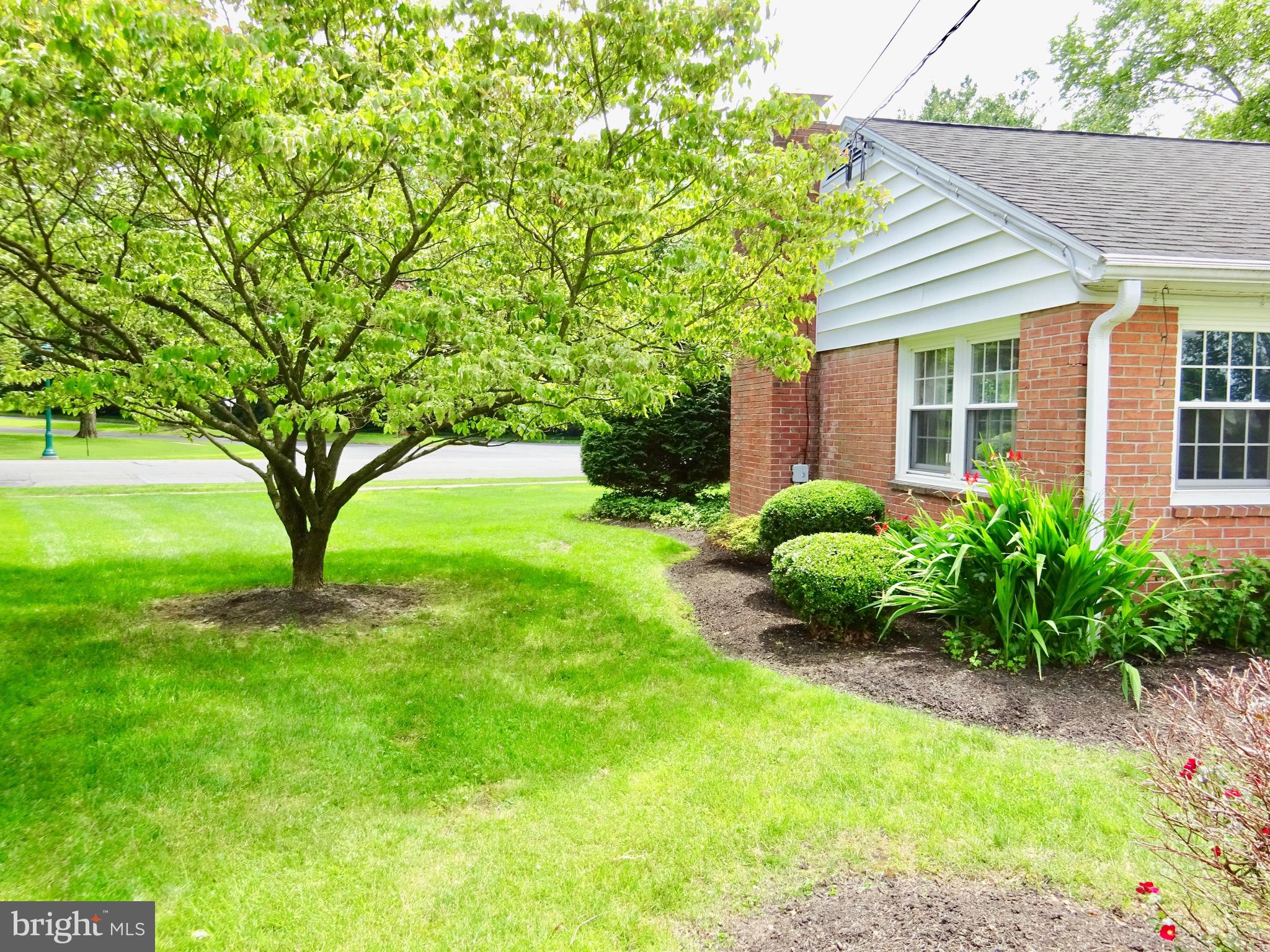 1355 Museum Road Reading, PA 19611 - Photo 38 of 43 Side Yard