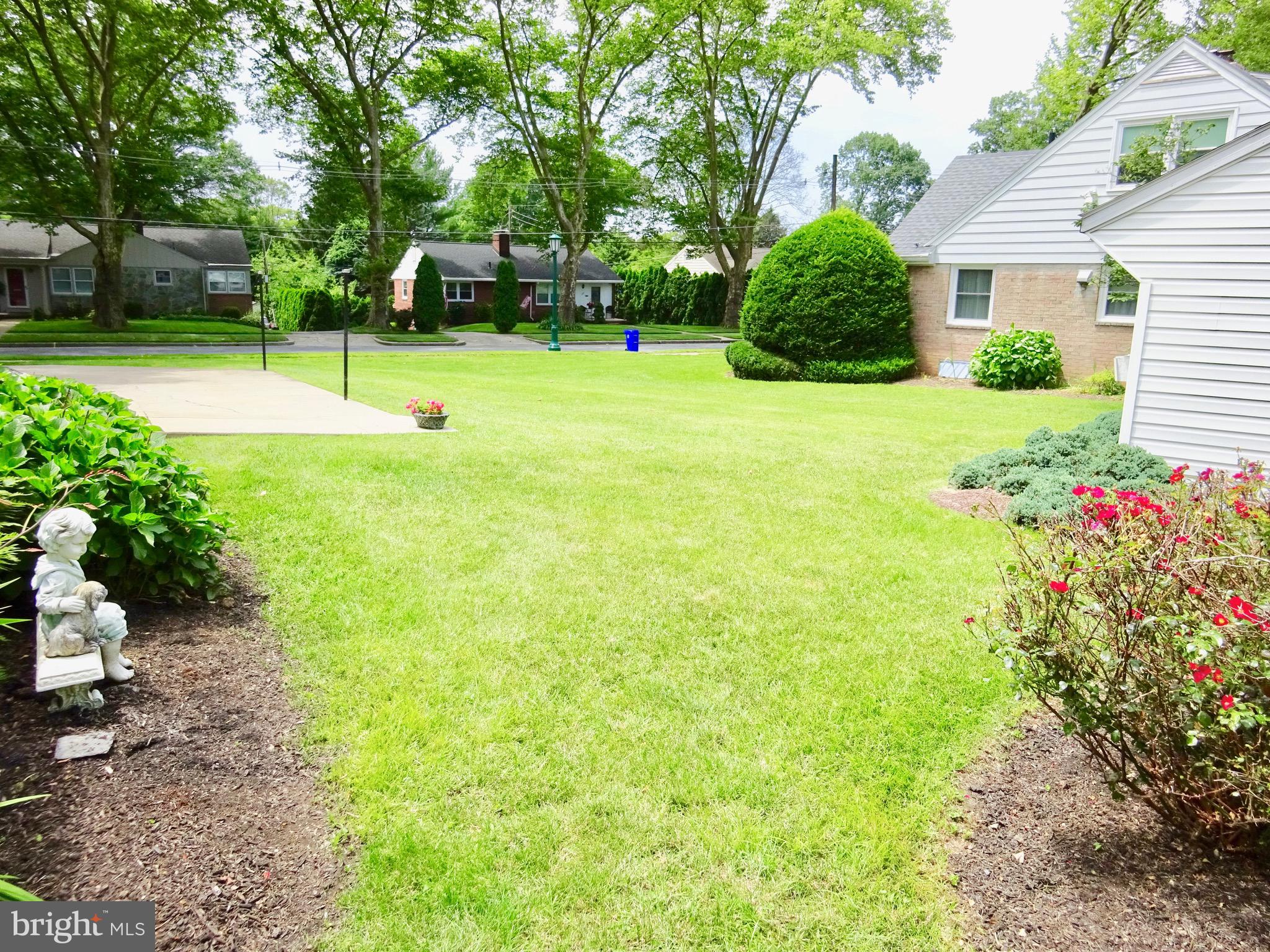1355 Museum Road Reading, PA 19611 - Photo 40 of 43 Back yard