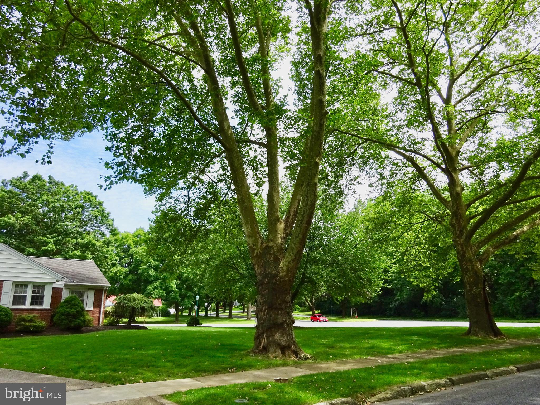 1355 Museum Road Reading, PA 19611 - Photo 43 of 43 Side Yard
