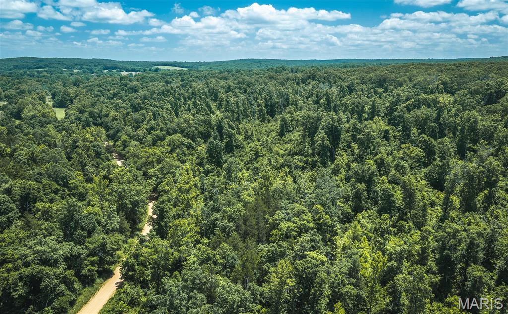 0 Czar Tower Road Steelville, MO 65565 - Photo 13 of 19