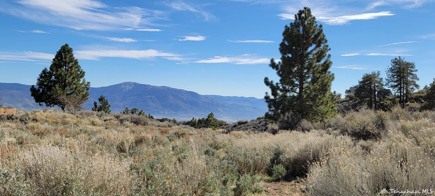 26936 Stirrup Way Tehachapi, CA 93561 - Photo 7 of 10 Gallery Image 7
