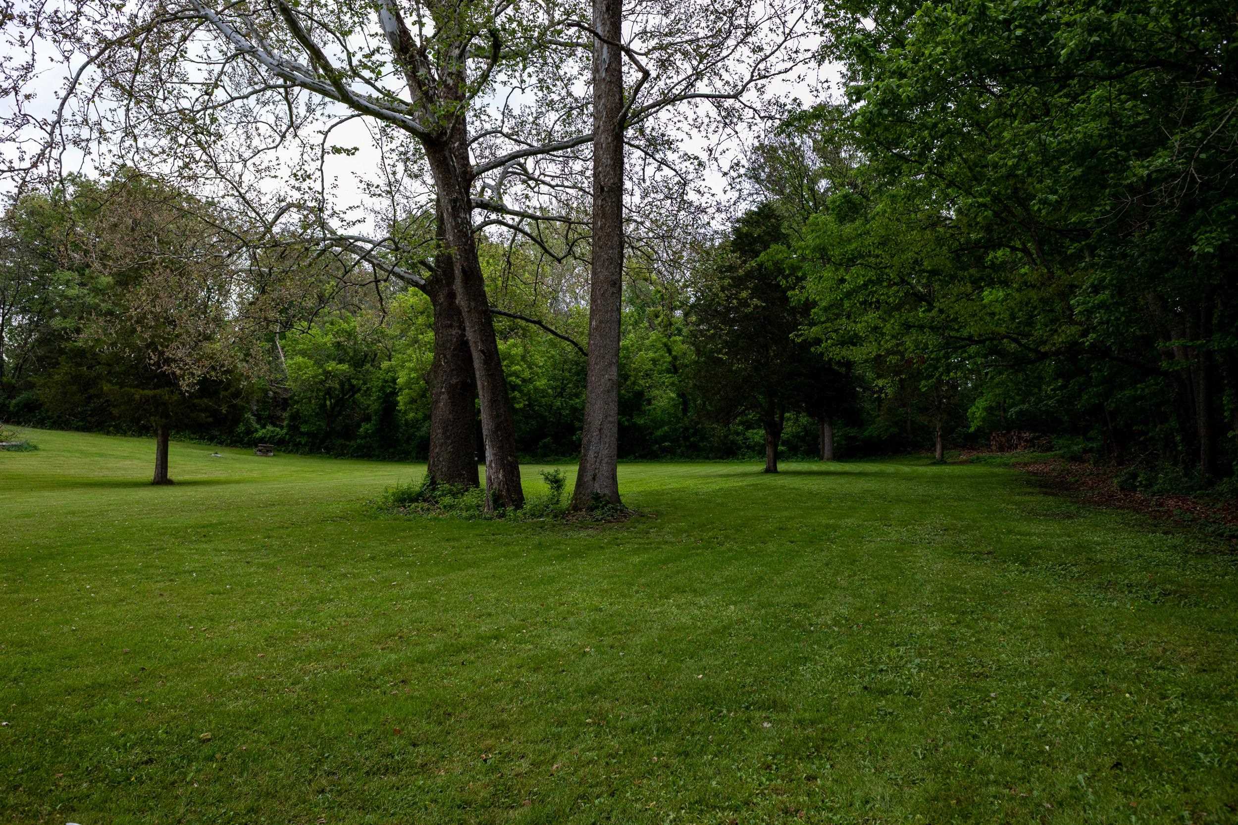 13896 Rockingham Pike Elkton, VA 22827 - Photo 18 of 60 a view of a park with large trees