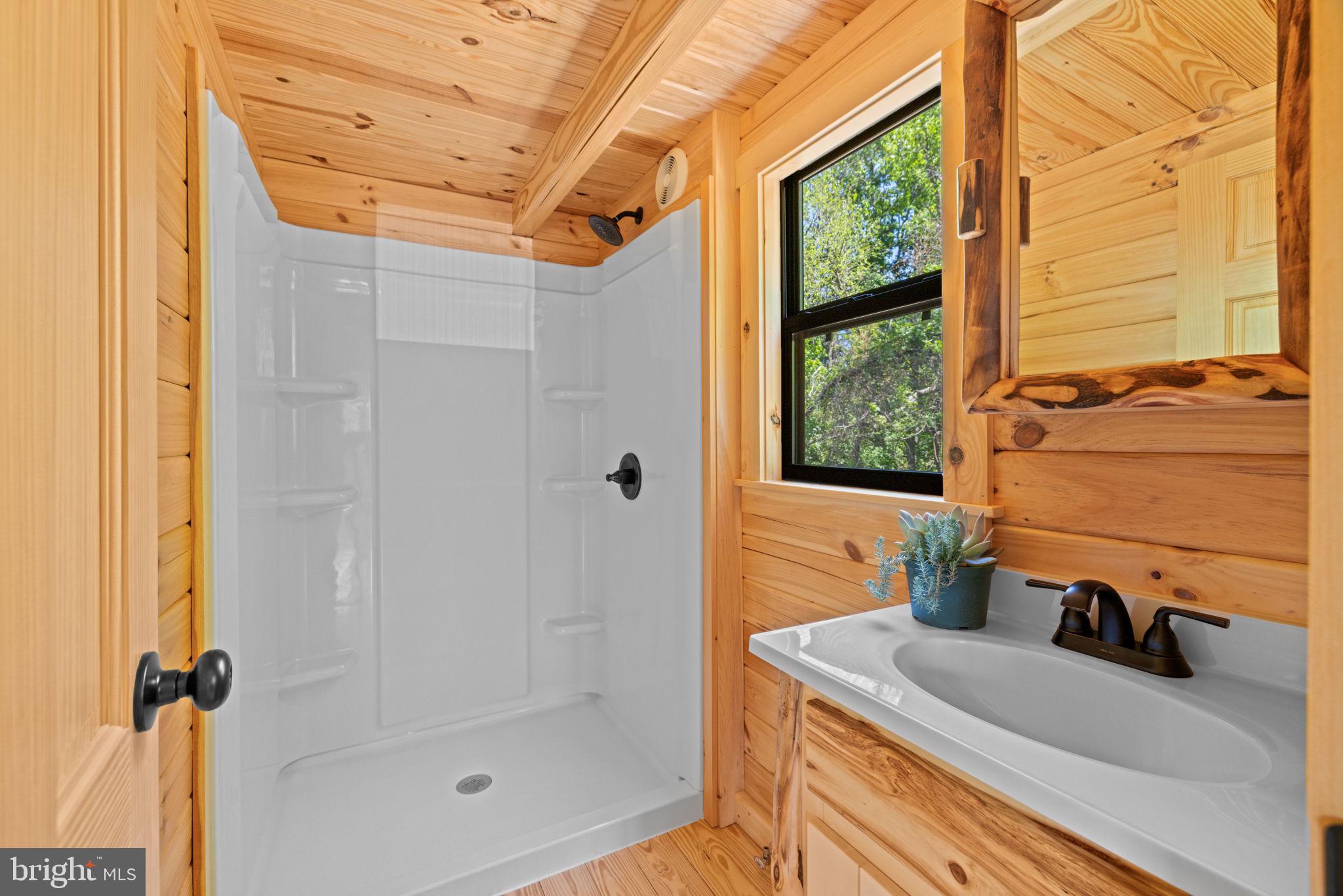 0 Morrisonville Road Lovettsville, VA 20180 - Photo 27 of 31 a bathroom with a sink a vanity and a shower