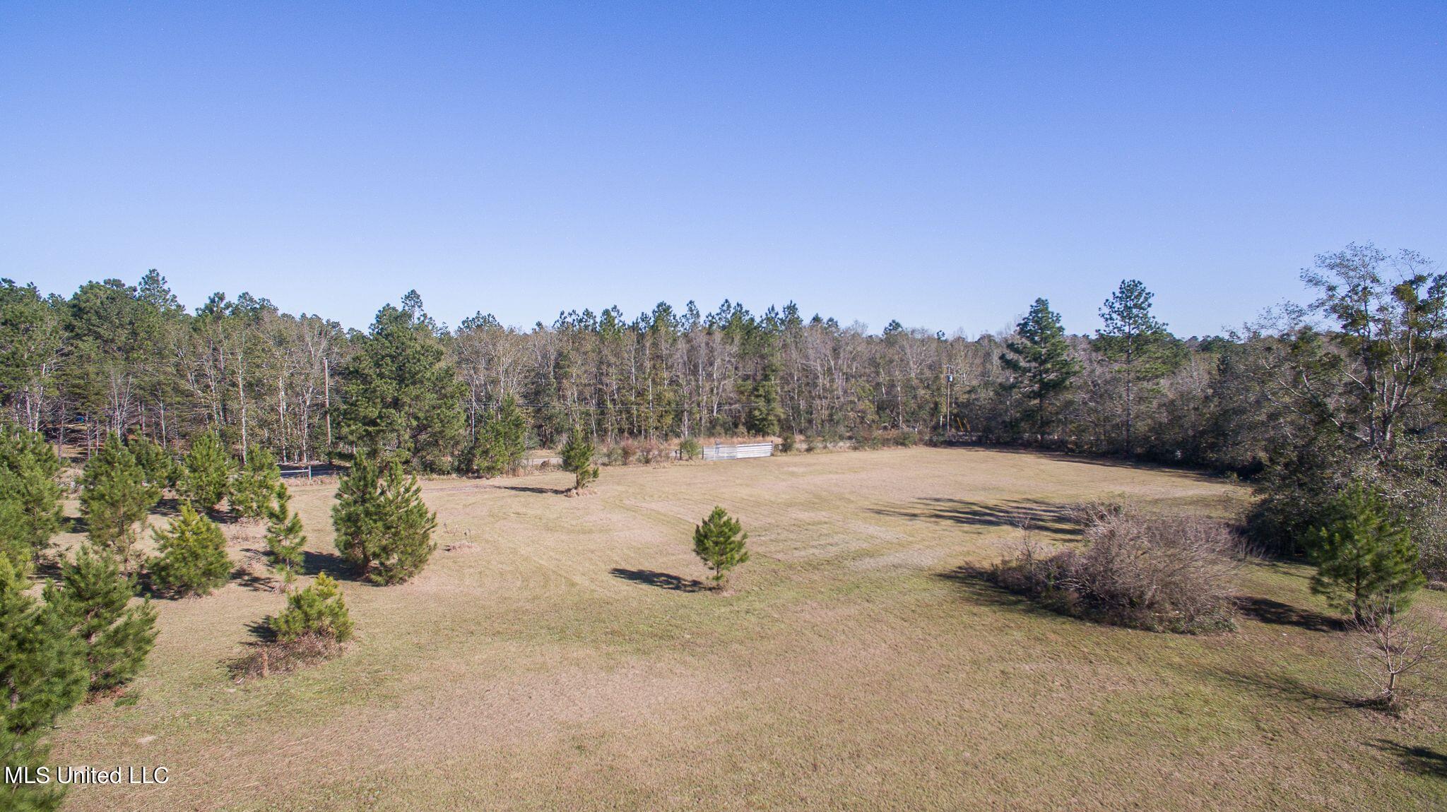 Strickland Road Saucier, MS 39574 - Photo 4 of 5 7956A9CE-8AFA-4129-BB81-D9D626A500EB