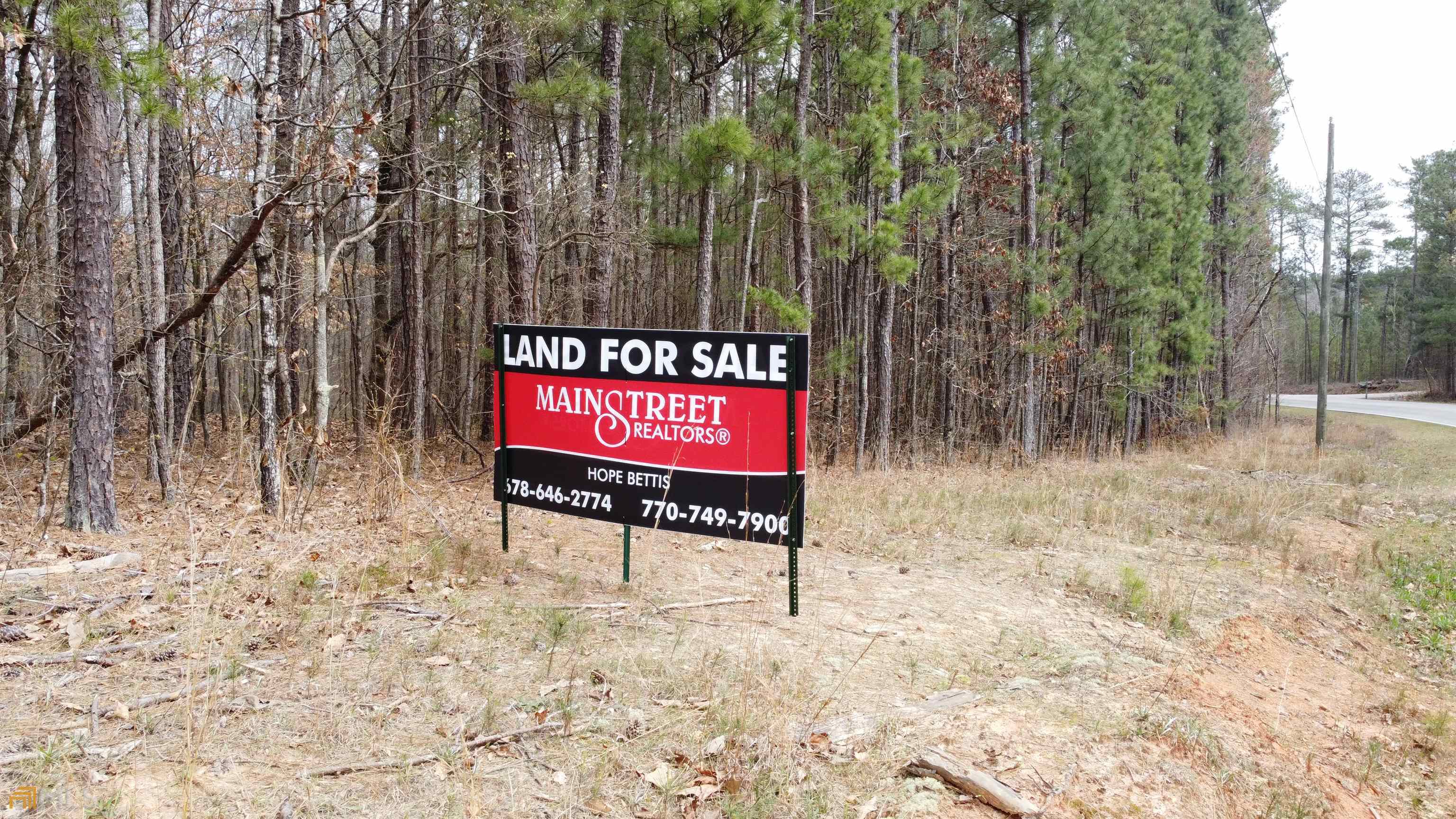 0 Cool Springs Road Winston, GA 30187 - Photo 1 of 1