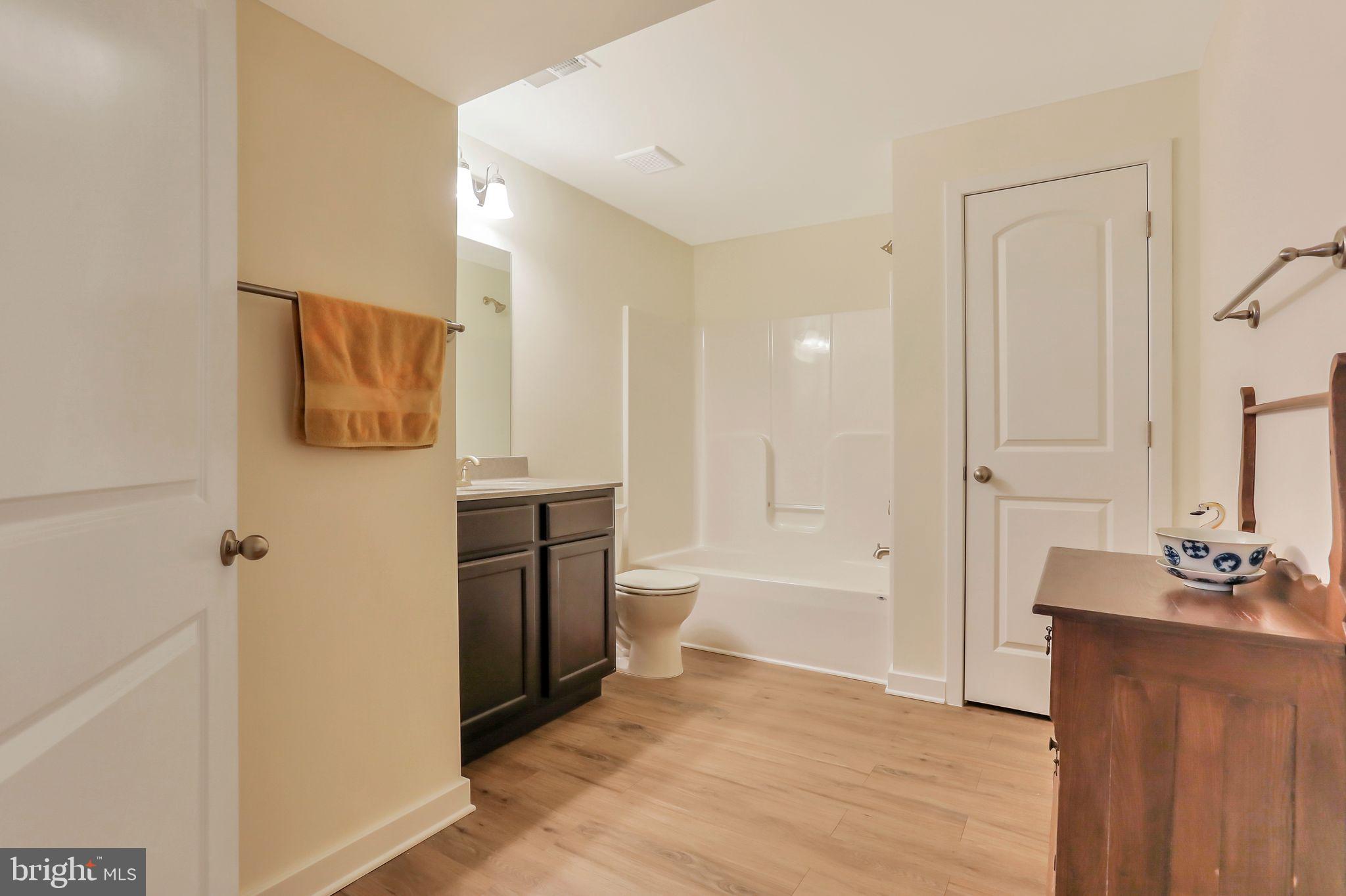45 Rivanna Run Falling Waters, WV 25419 - Photo 34 of 46 Basement Full Bathroom