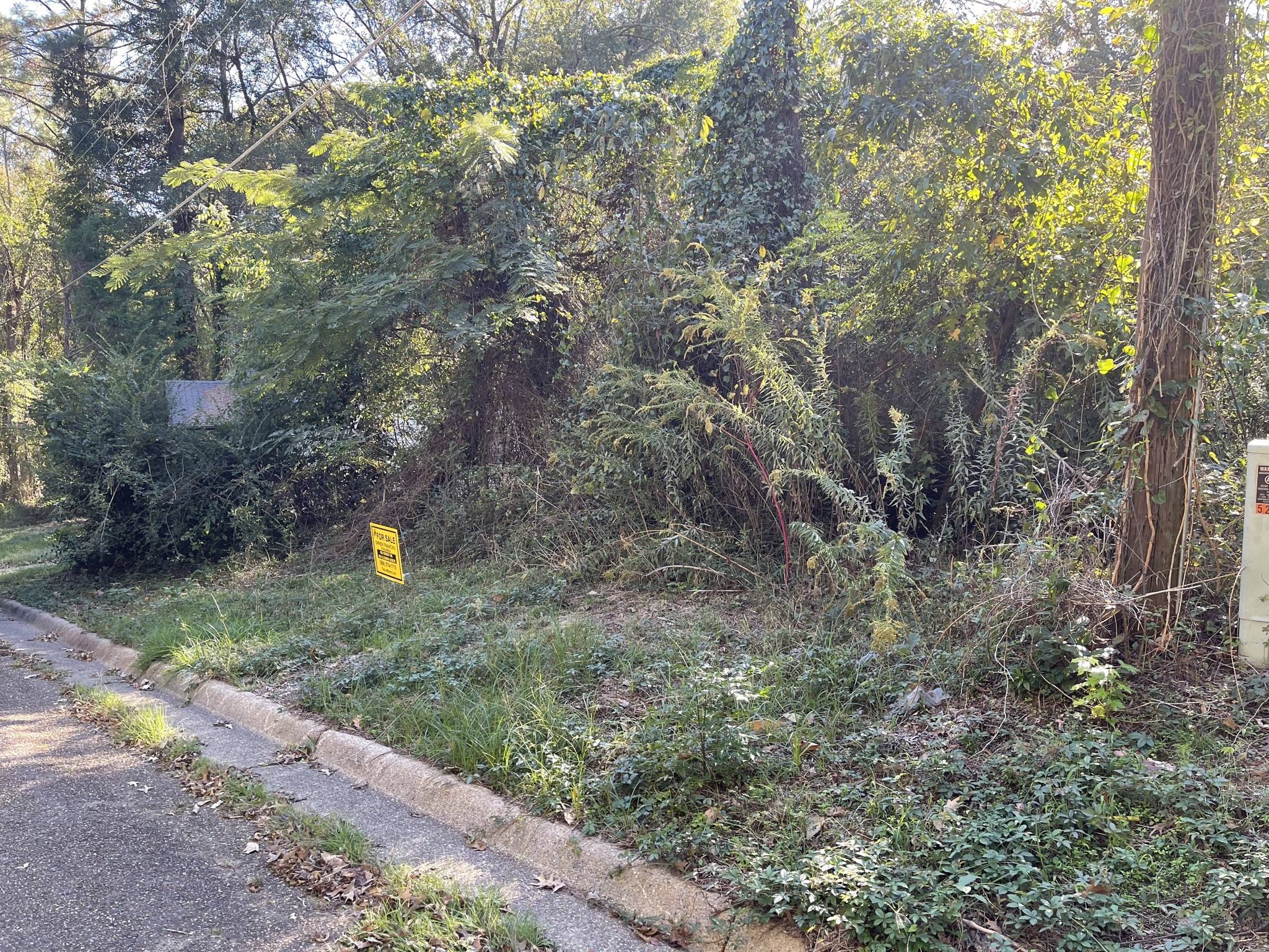 526 Spring Avenue Northwest Other, AR 71701 - Photo 3 of 6 a front view of a house with a yard