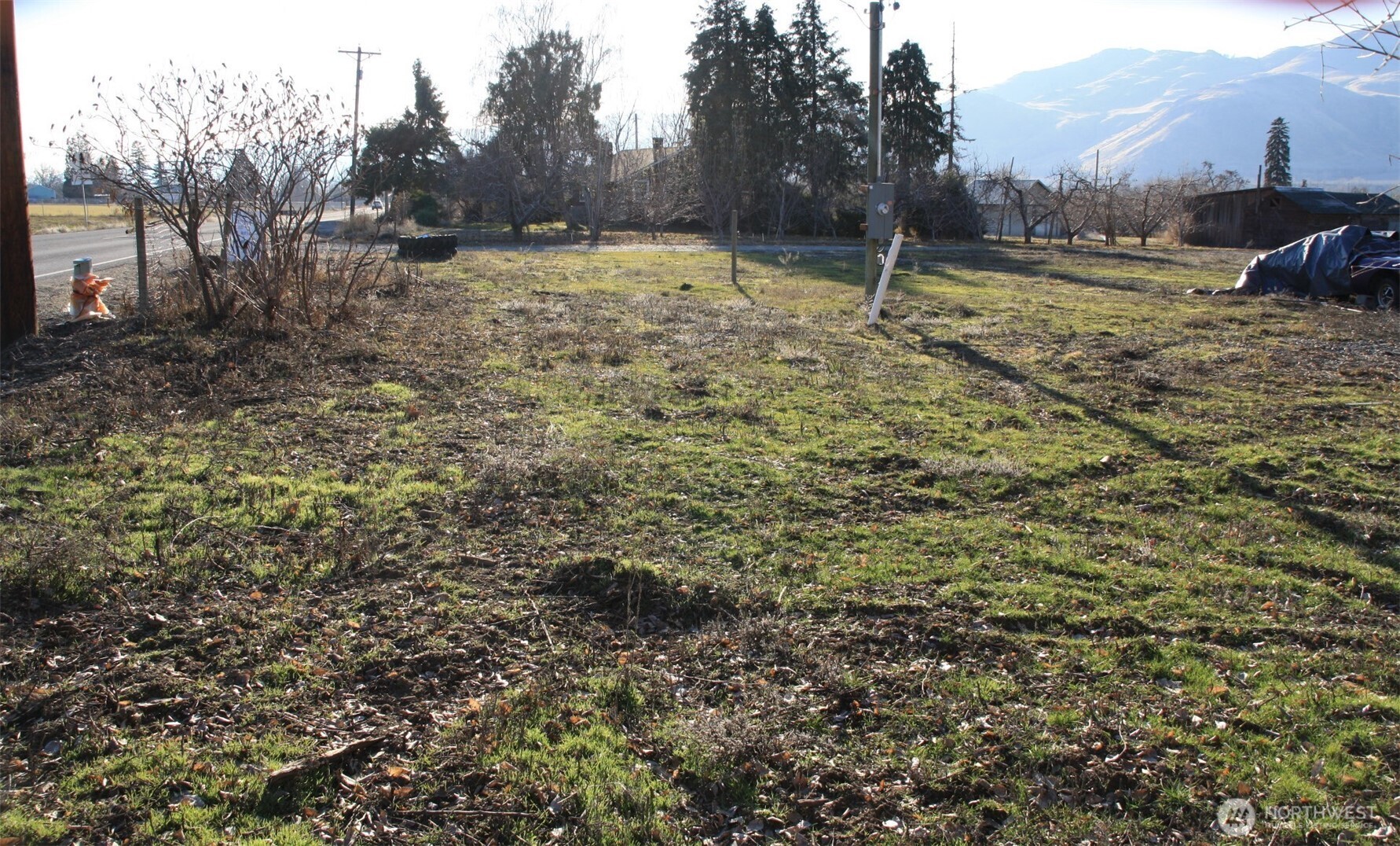 85 Chesaw Road, Unit B Oroville, WA 98844 - Photo 12 of 19 a view of a backyard with large trees