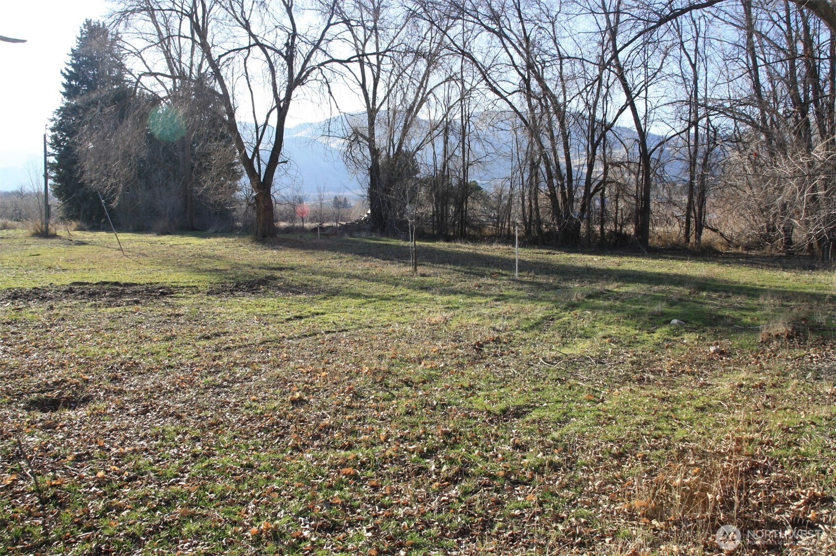 85 Chesaw Road, Unit B Oroville, WA 98844 - Photo 7 of 19 a view of a backyard with large trees