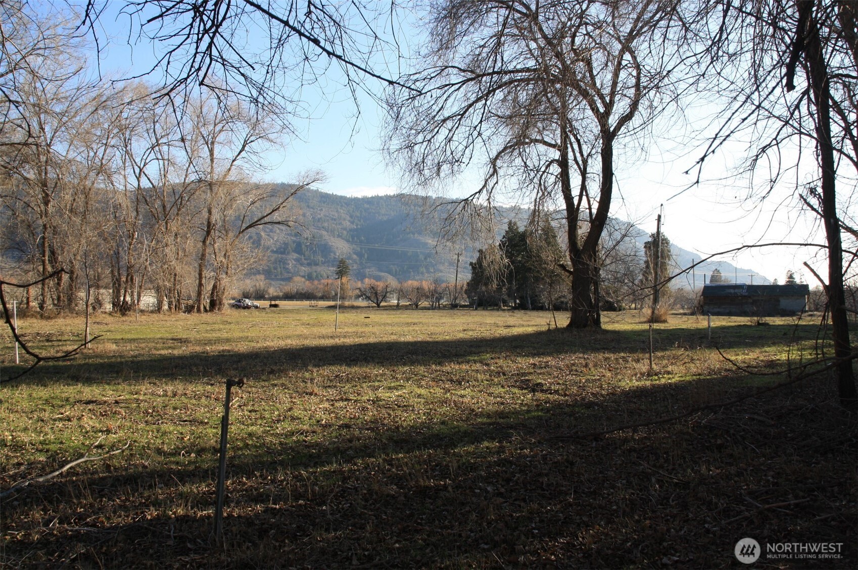 85 Chesaw Road, Unit B Oroville, WA 98844 - Photo 8 of 19 a view of yard with large trees