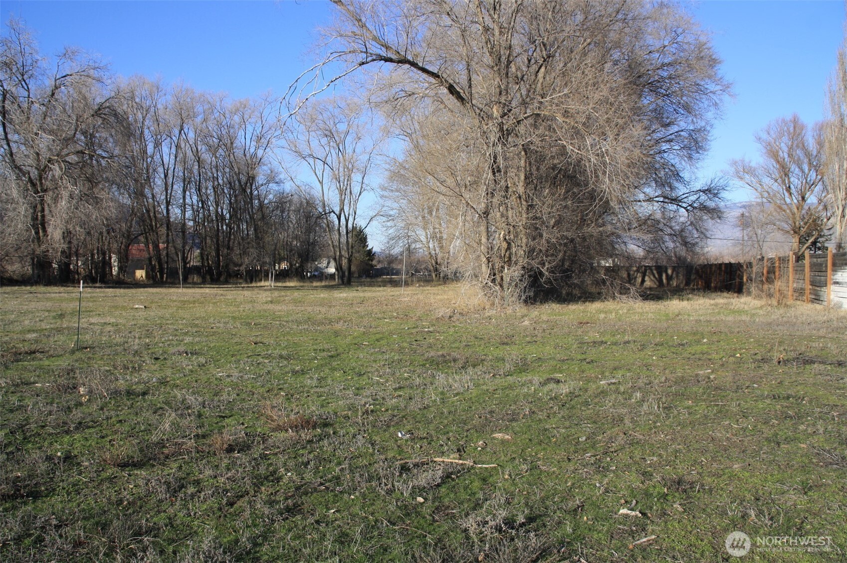 85 Chesaw Road, Unit B Oroville, WA 98844 - Photo 9 of 19 a view of a field with trees in the background