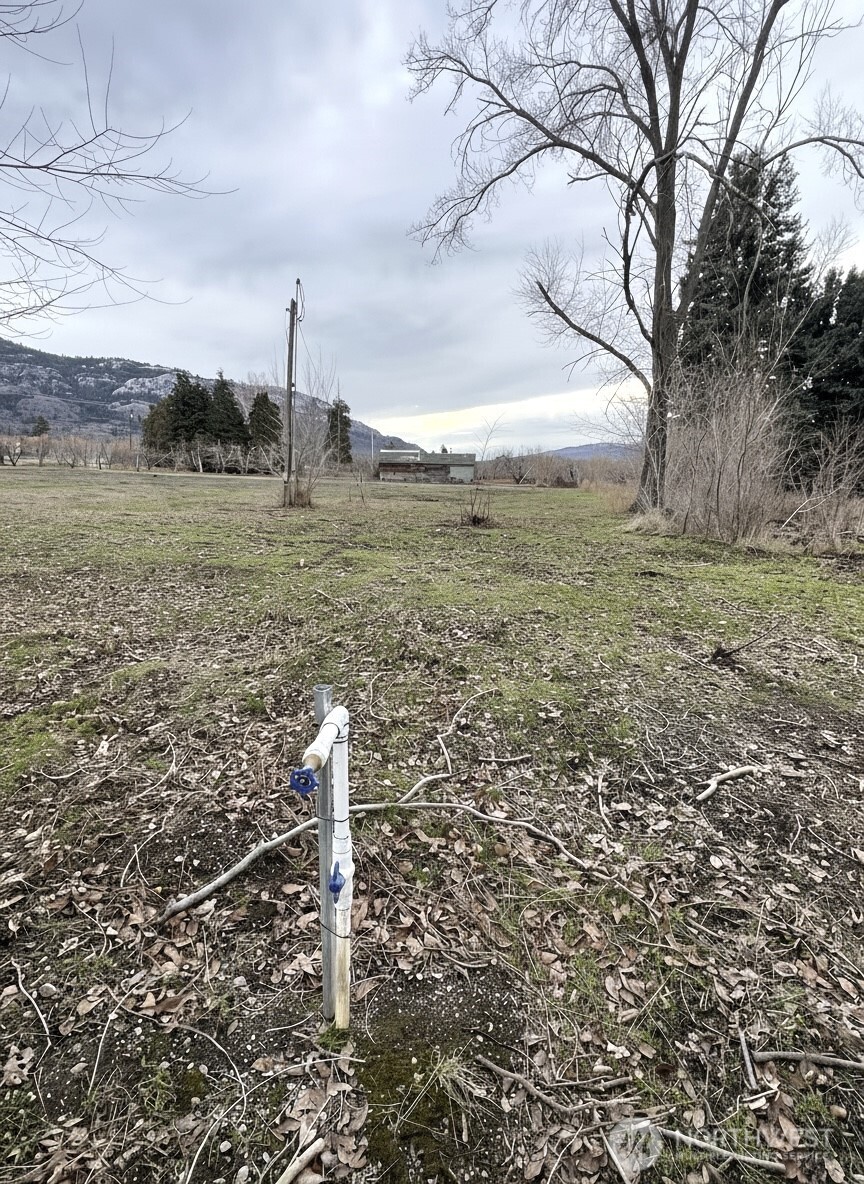 85 Chesaw Road, Unit B Oroville, WA 98844 - Photo 10 of 19 a backyard of a house with lots of green space