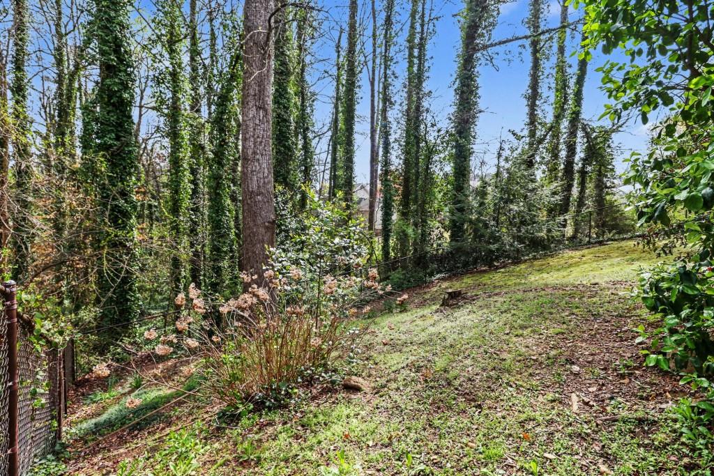 3793 Market Crescent Clarkston, GA 30021 - Photo 34 of 35 a view of forest