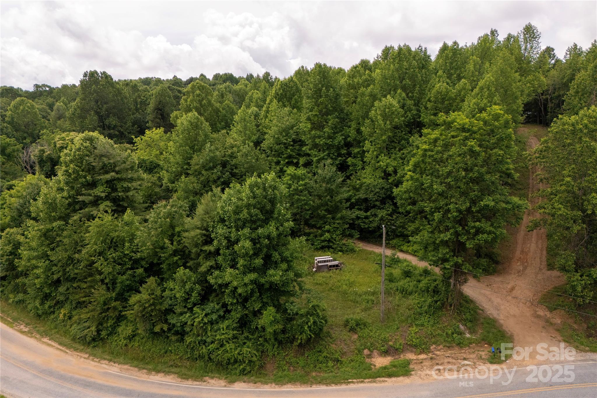 0 Pinnacle Mountain Road Zirconia, NC 28790 - Photo 4 of 7 an aerial view of residential house with outdoor space