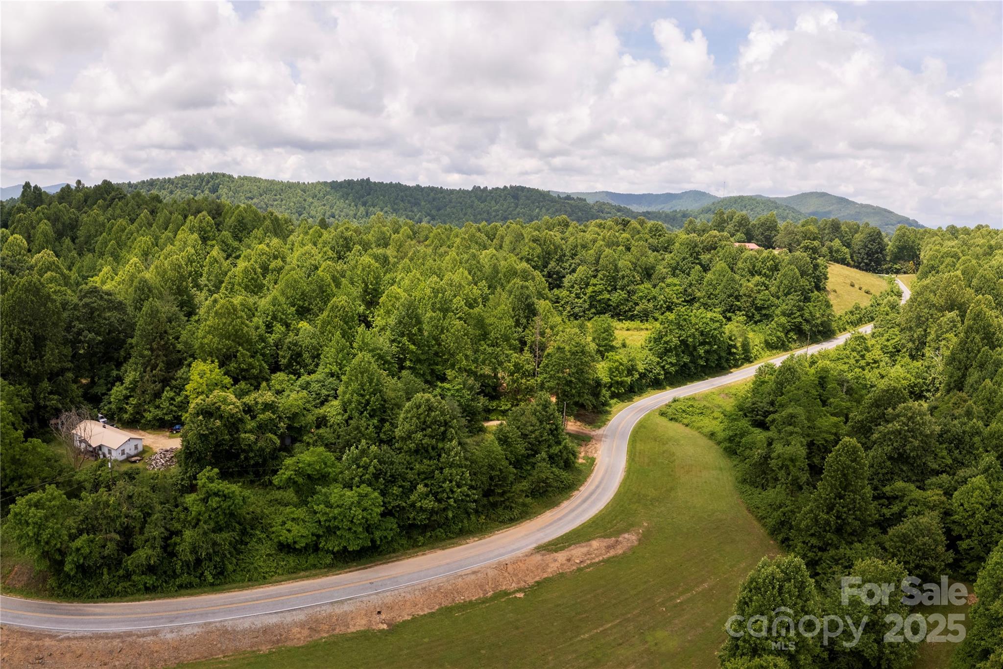 0 Pinnacle Mountain Road Zirconia, NC 28790 - Photo 5 of 7 a view of a city with lush green forest