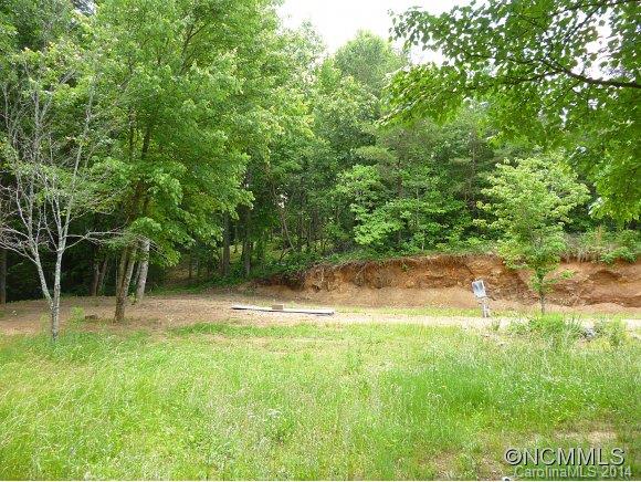 21 Cool Waters Road, Unit LOT 2B Leicester, NC 28748 - Photo 6 of 9 Gallery Image 6