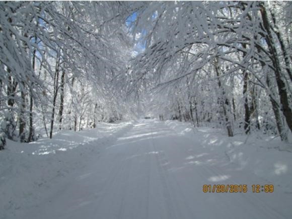 Jackson Road Averill, VT 05901 - Photo 4 of 9