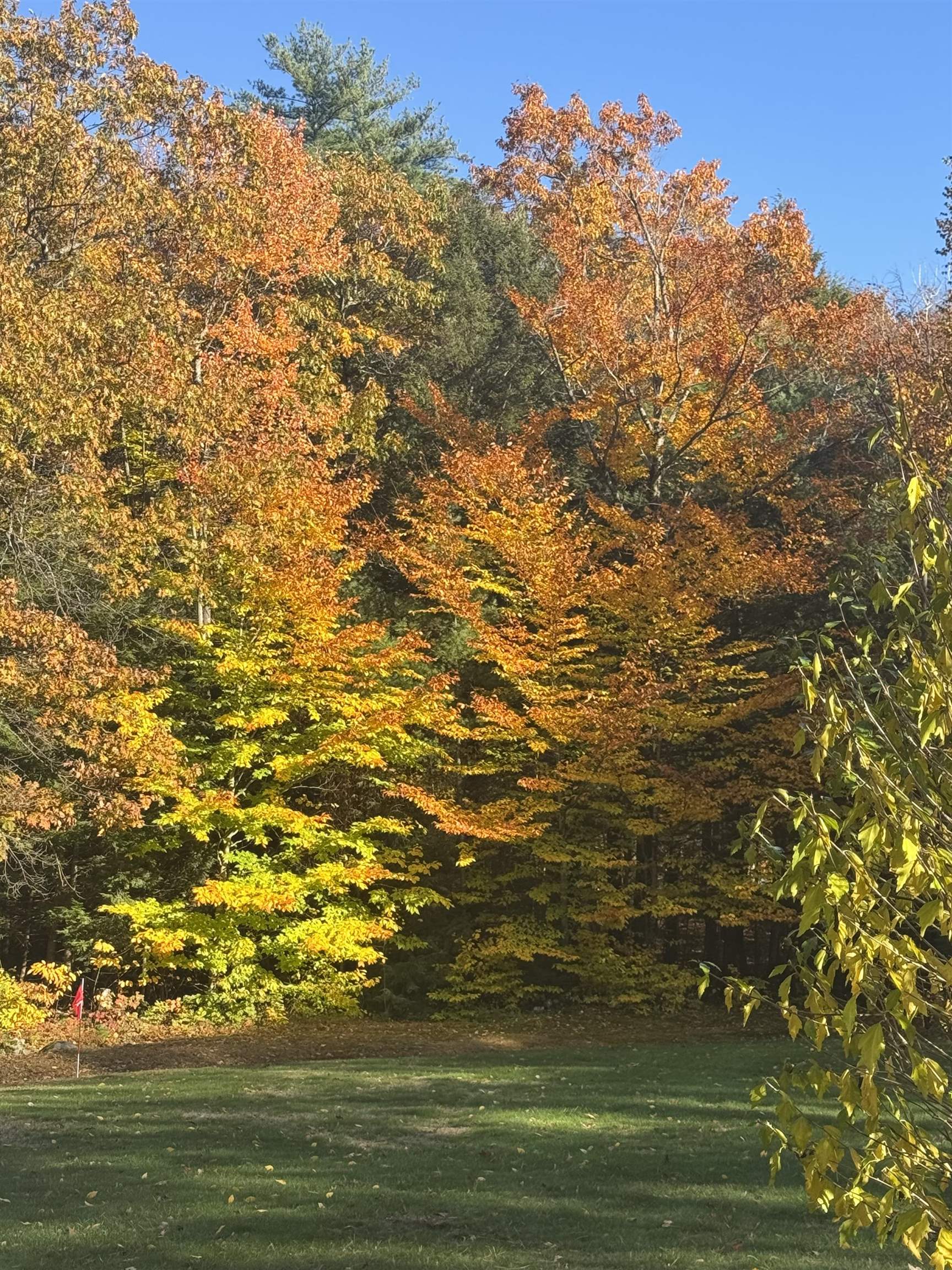 15 Wheeler Road Bow, NH 03304 - Photo 58 of 59