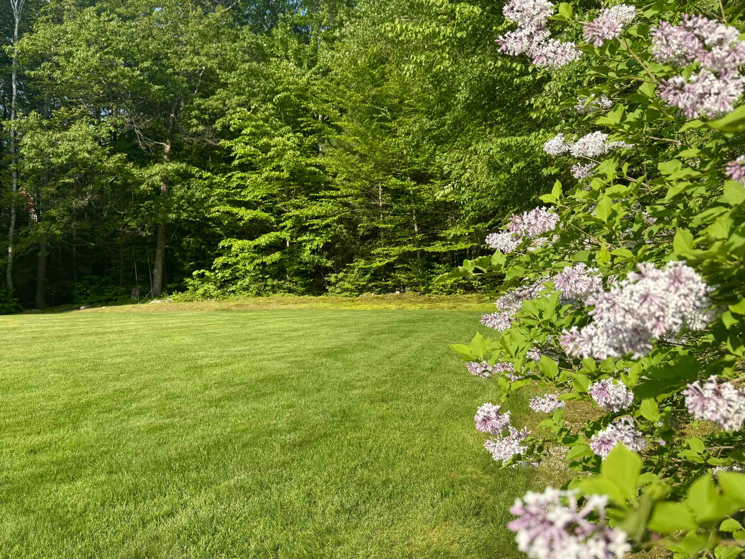 15 Wheeler Road Bow, NH 03304 - Photo 8 of 59