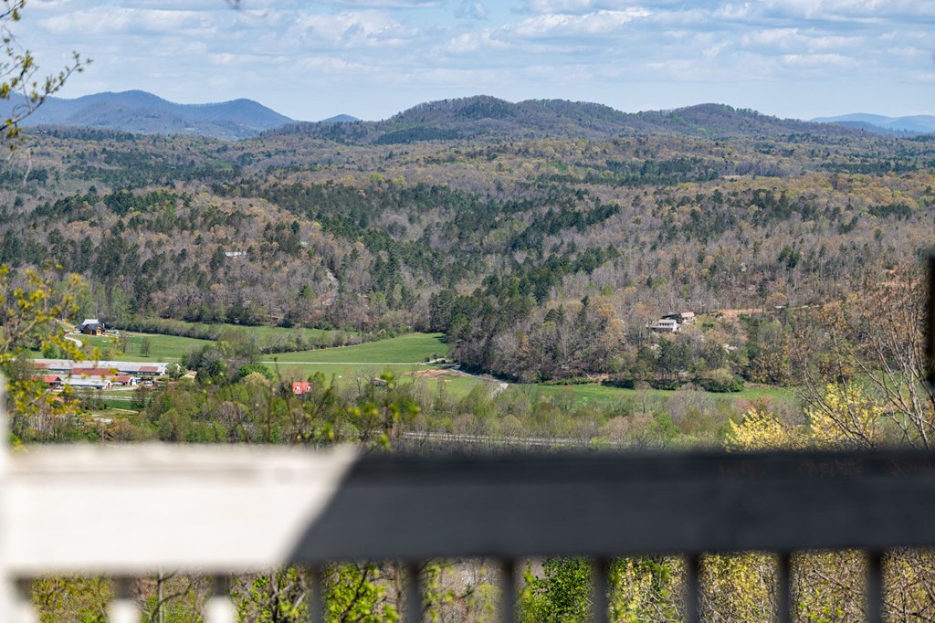 65 Oak Ridge Way Morganton, GA 30560 - Photo 22 of 31 Gallery Image 22