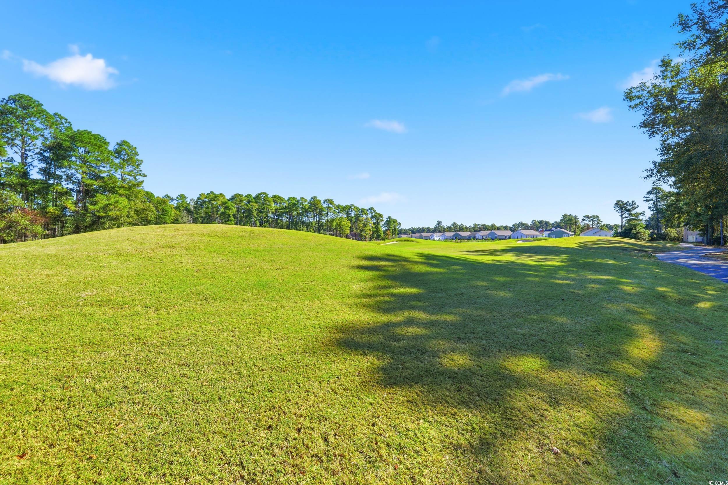 4541 Girvan Drive, Unit B Myrtle Beach, SC 29579 - Photo 23 of 29 View of grassy yard with view of scattered trees and golf course view