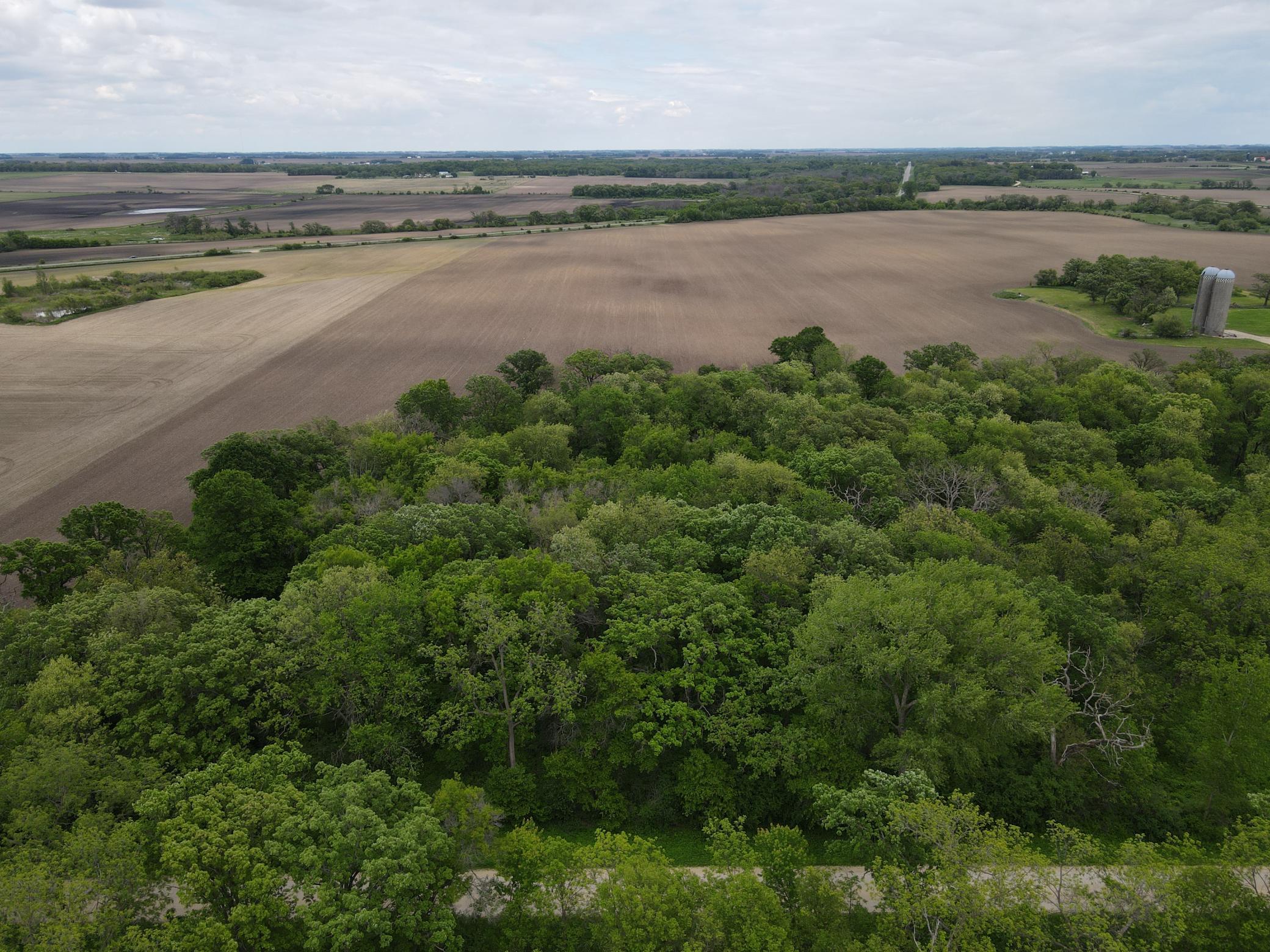 56 Highway 56 Le Roy, MN 55951 - Photo 15 of 26