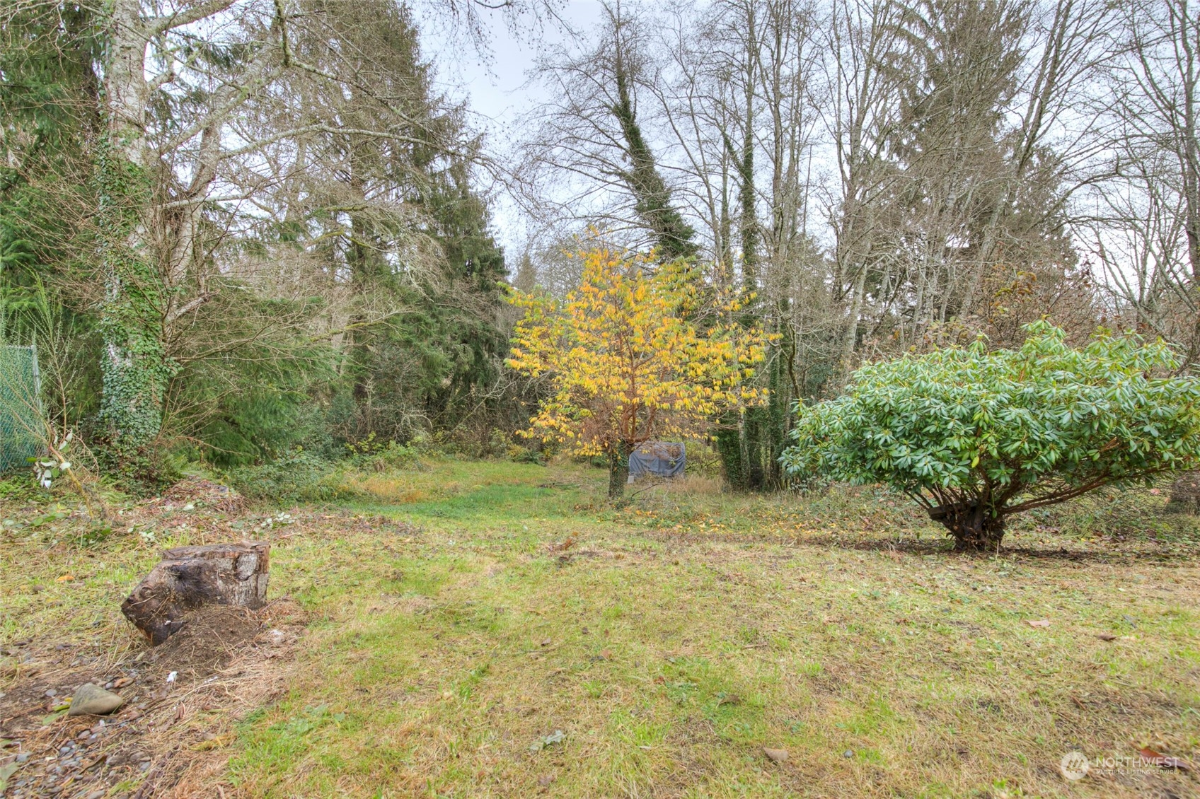 706 Cherry Road Montesano, WA 98563 - Photo 35 of 35 Gallery Image 35