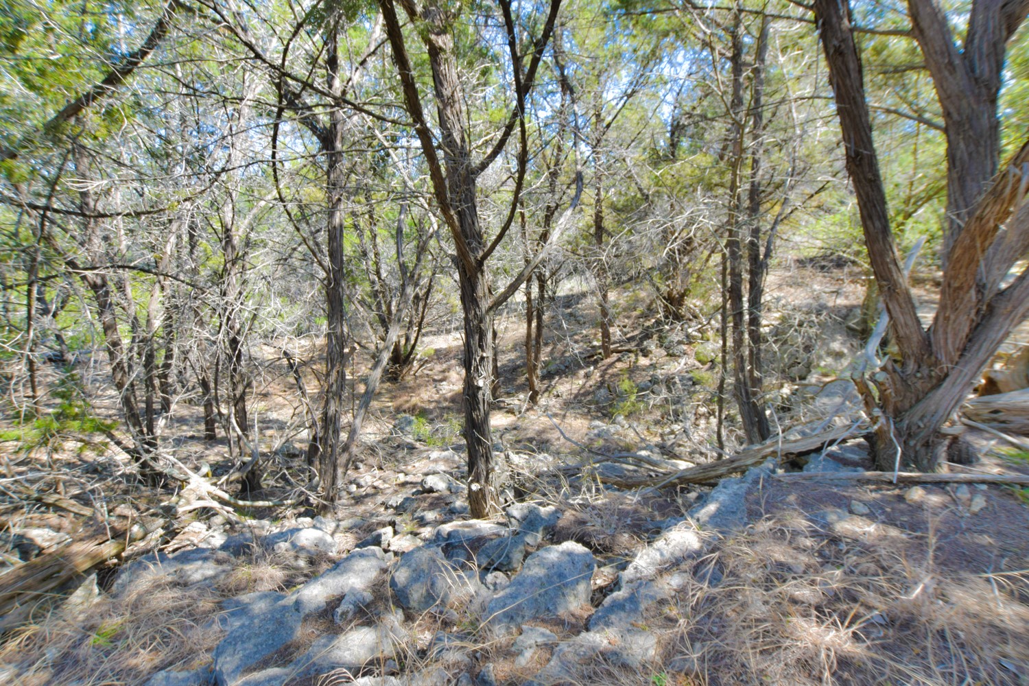 370 B Kothmann Road Dripping Springs, TX 78620 - Photo 16 of 31 This area turns into a lovely waterfall when it rains a lot!